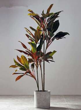 落地盆景摆件家居客厅服装店办公室软装饰品秋红铁树绿植仿真绿植