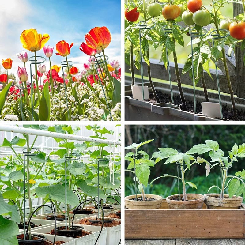 植物固定防倒伏花架子园艺支撑单杆室外花园月季爬藤绣球撑花支架