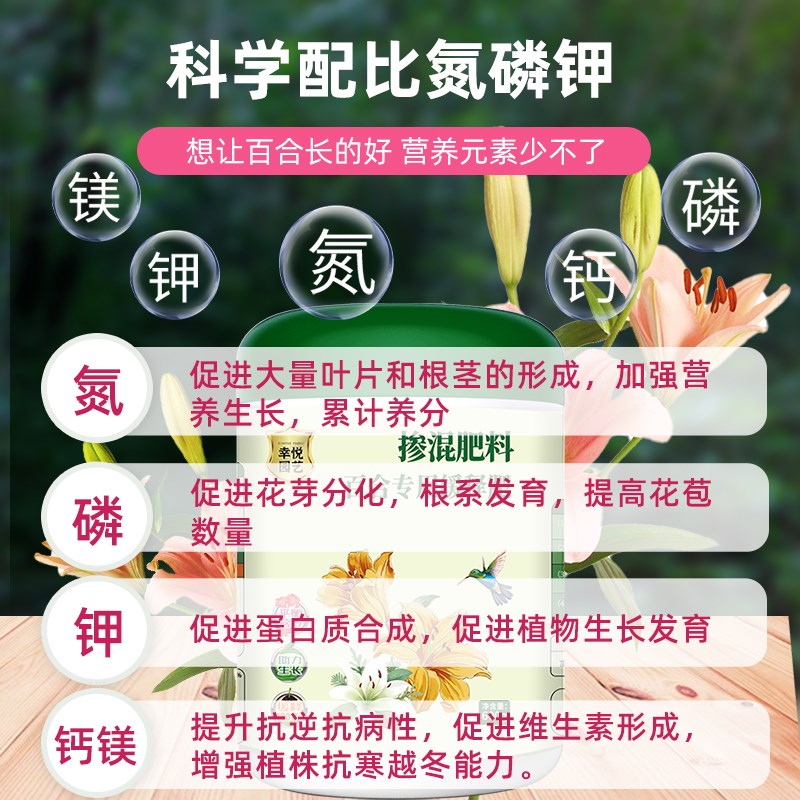 百合花专用肥缓释肥花肥营养液催花开花球根盆栽百合花肥料有机肥