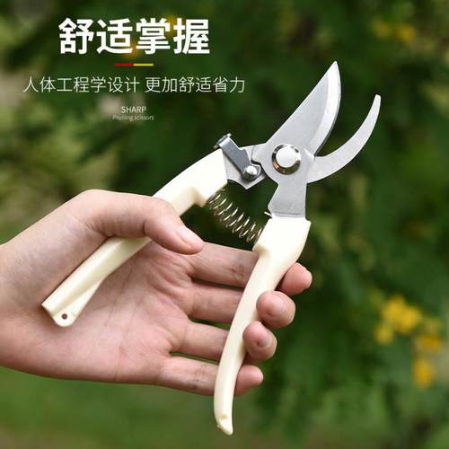 园艺剪刀修枝剪园林花园果木树枝修枝剪家用省力花剪神器园艺剪刀