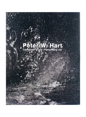 油画艺术样板房装饰书摆件书样板间茶几书房书柜真书装饰摆件