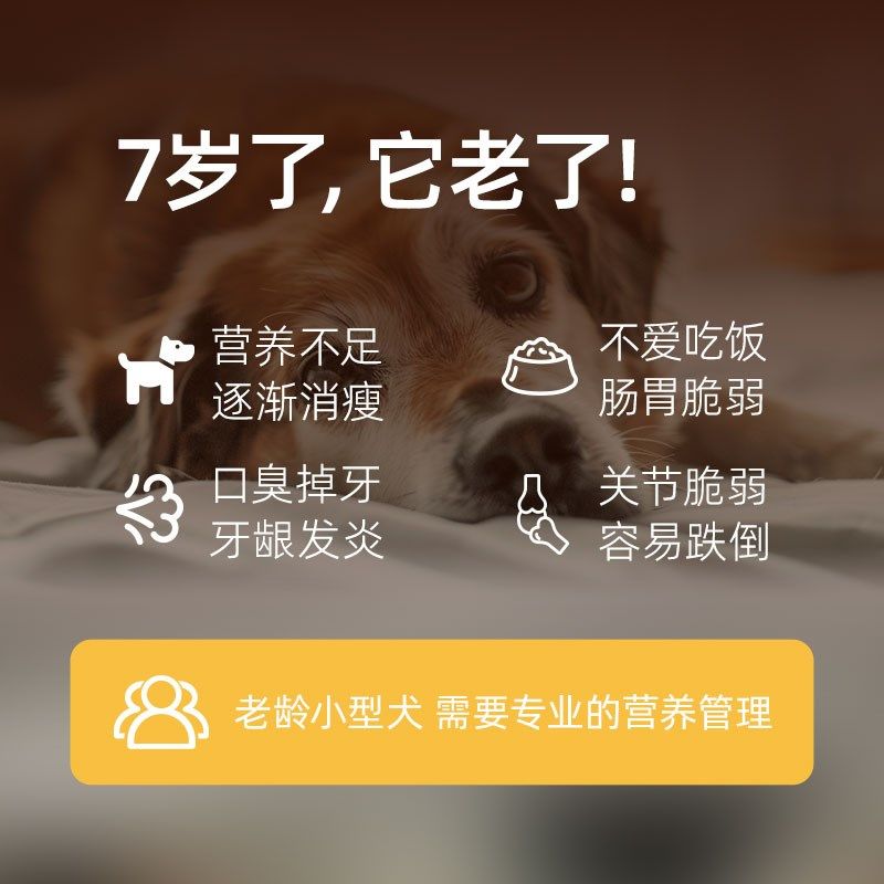 挚好老年小型犬狗粮泰迪柯基比熊宠物专用犬粮排名前十老龄小狗粮