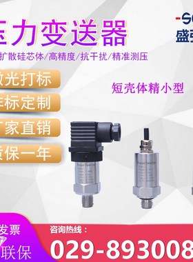 盛弘创18.601G-6000-R-1-5-100-300-1-000压力变送器压力传感器