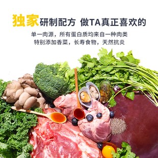 四季 约定里岔黑猪肉香菜配方全价犬用主食冻干278g