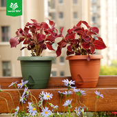 沃施worth 自浇灌花盆家庭庭院阳台桌面观叶观花多肉带蓄水槽花盆