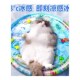 宠物注水冰垫猫咪水床垫狗狗夏天冰凉垫大号充气加厚防抓小鱼