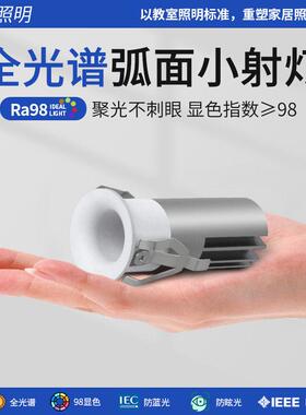 迷你小型射灯可调角度嵌入式LED牛眼开孔35mm2公分氛围满天星聚光