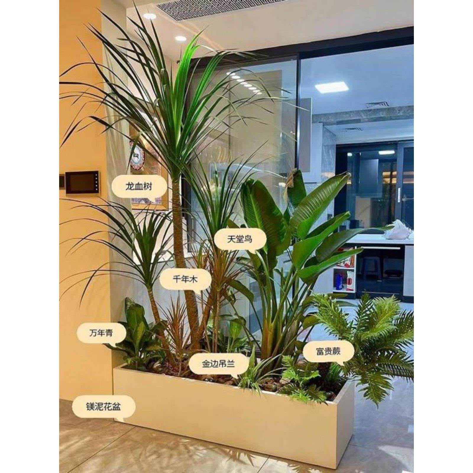 大型绿植花境组合花箱盆栽落地景观室内外阳台庭院展会造景真绿植,商业/办公家具,花坛/花箱,淘宝优惠券,粉丝福利购,淘宝优惠卷