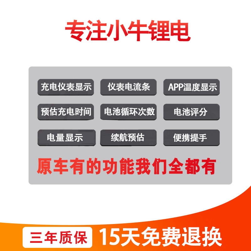顺风九号电动车锂电池新C系C40 C65LiteC65 C90大容量增程48v动力