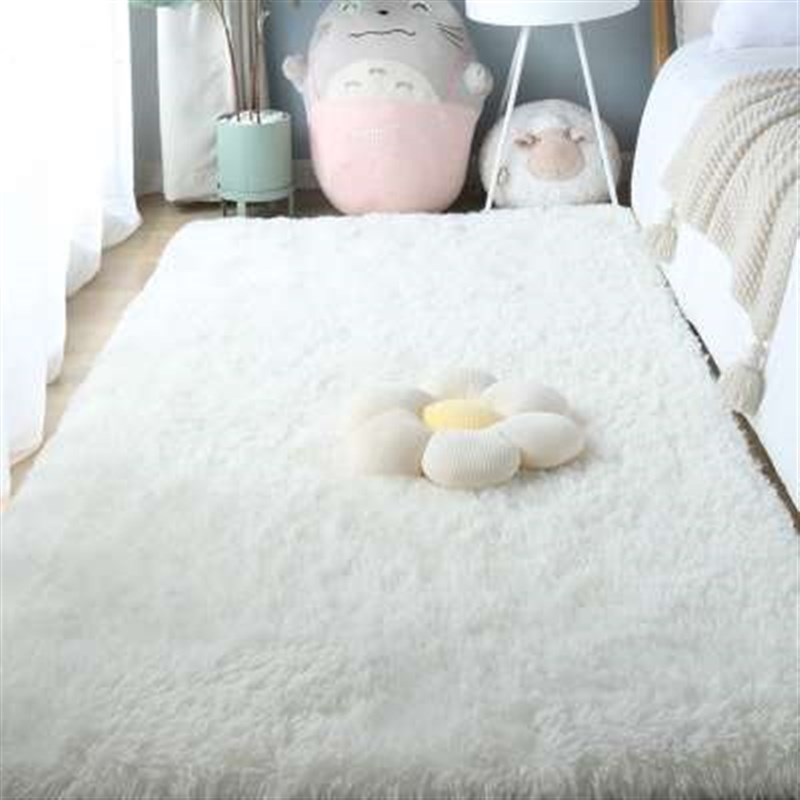 地毯卧室床边毯女生房间装饰网红拍照毯日系公主风白色长毛地板垫