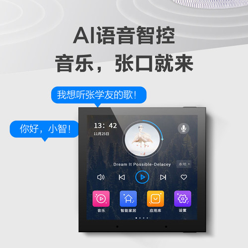 向往Mini4X智能音乐主机智能家居吸顶喇叭控制器嵌入式吸顶喇叭
