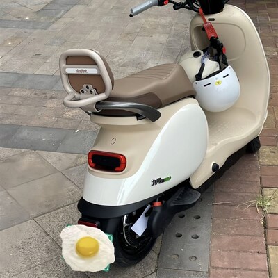 九号电动车后靠背Q80C/Q85C/QZMiX九号国标电动车Q系列后靠背