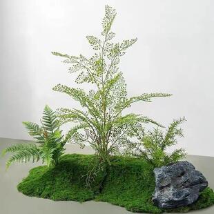 彷真绿色植物苔藓假植物微景观布置装饰室内青苔造景组合橱窗落地