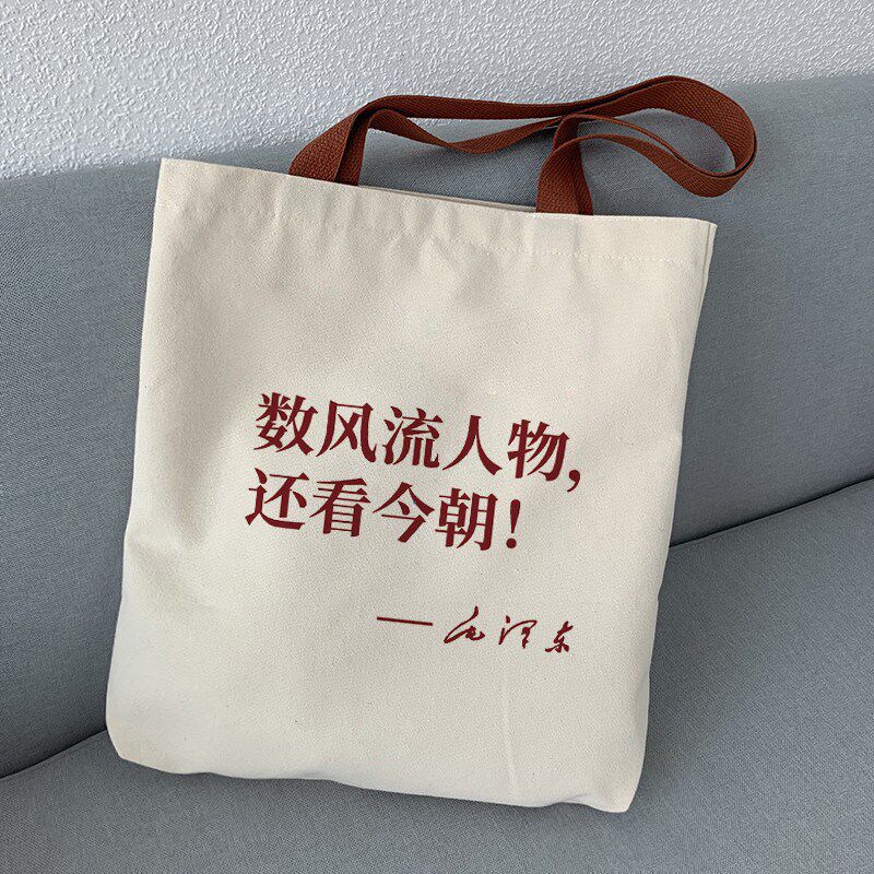 学生帆布袋手提新青年帆布包女大容量单肩斜挎拉链收纳包拎包新款