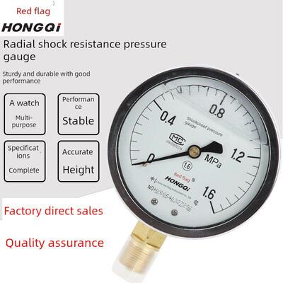 厂家直销红旗仪表防震、防震、防震压力表Ytn-100液压真空负压液