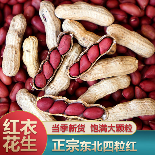 东北带壳红皮花生四粒新货干货