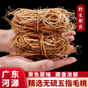 正宗野生五指毛桃根中药材土茯苓广东煲汤材料新鲜干货五爪龙正品