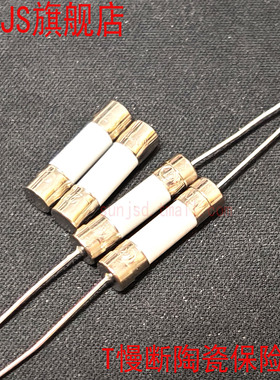 电磁炉空调电视陶瓷保险丝管带引脚慢断T0.5A T1A T2A/3.15/4/5A