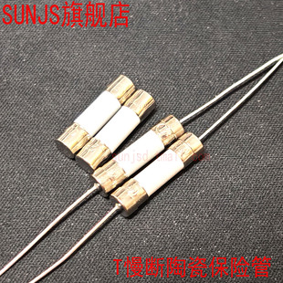电磁炉空调电视陶瓷保险丝管带引脚慢断T0.5A 3.15 T2A T1A