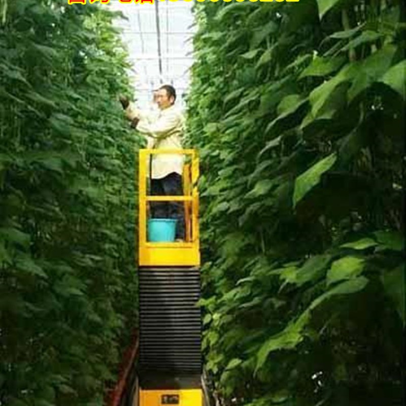 小型电动升降平台/移动采摘小车/大E棚番茄草莓公轨两用行走升降