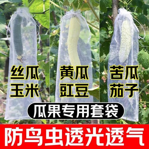丝瓜黄瓜苦瓜套袋纱袋防虫专用网袋水果葡萄番茄枇杷瓜果保护袋子