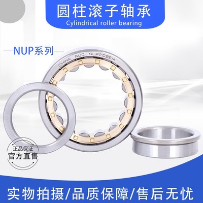 AUC圆柱滚子轴承NUP204 205 206 207 208 209 EM