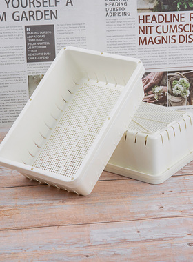 白色加厚多肉叶插育苗盆塑料生石花肉锥育苗盘小号种植播种花盆