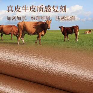 防水皮革沙发垫四季通用防滑沙发盖布轻奢高级感真皮沙发专用坐垫