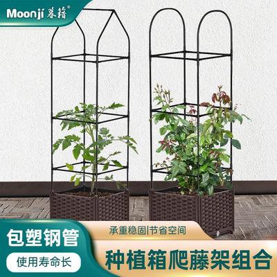 种植箱种阳菜86913盆家庭露小花盆屋顶菜菜园蔬菜盆台台爬藤架室