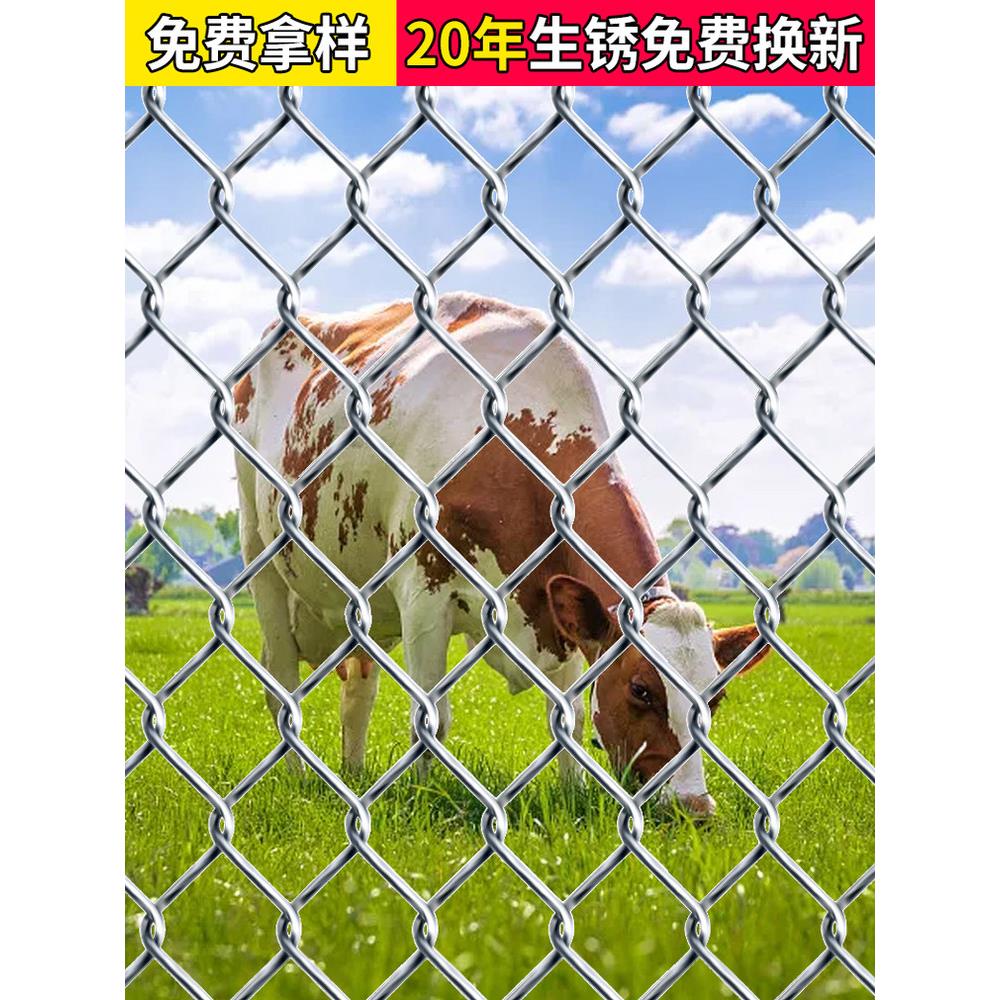 AGE热镀锌钢丝鸡网花铁丝网养殖鸭猪狗牛羊围栏果园圈勾地防护网