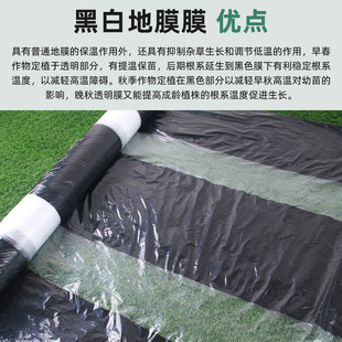 单白双白地膜农i用种植黑白相间地膜除草膜保温保湿塑料薄膜大棚