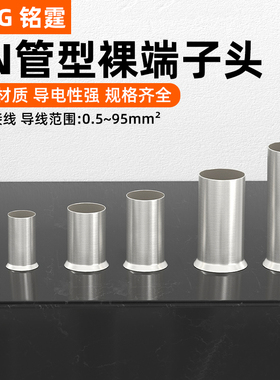 EN管型裸端头冷压接线端子紫铜镀银管铜鼻子EN0508/1508/2508