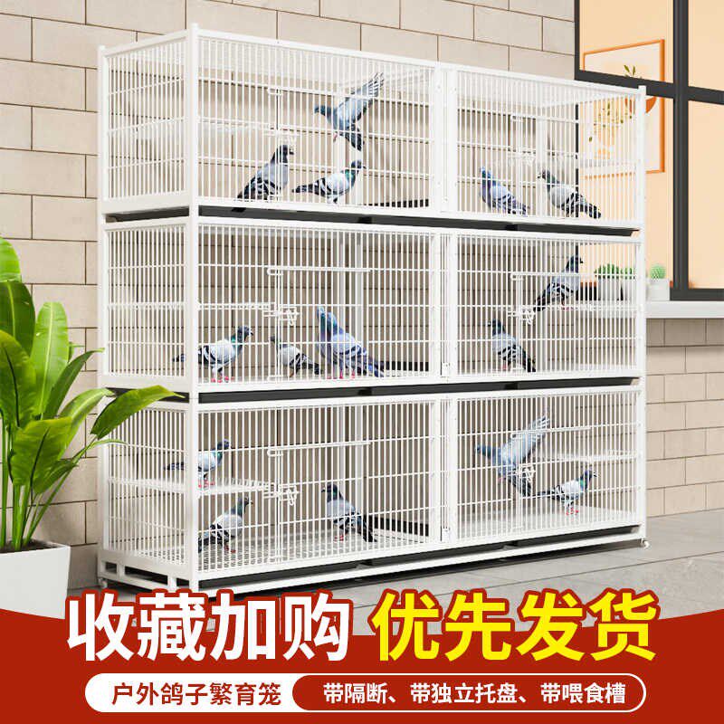 鸽子配对笼养殖加密鸽子笼繁育鸽子鸟笼金属室内加密宠物笼防老鼠
