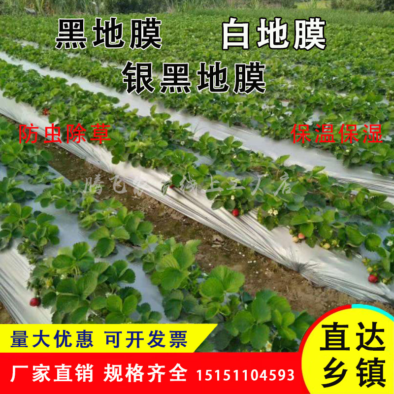 农用黑色除草膜银黑地膜白色保温地膜H加厚薄膜果树果园草莓塑料