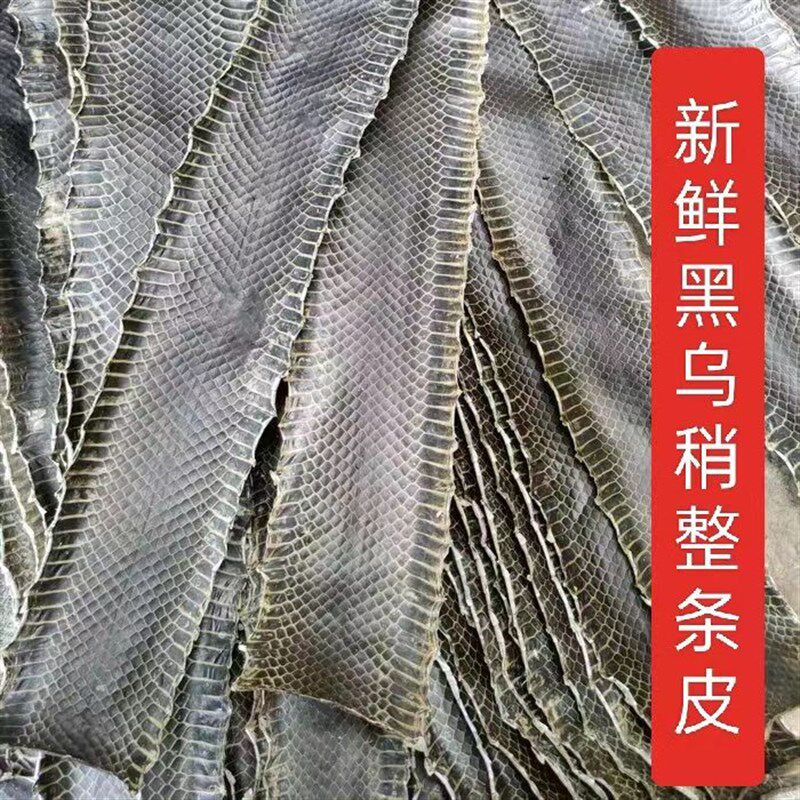 乌稍蛇皮 京胡蛇皮整条q京胡蛇皮 京胡蒙皮蛇皮乌蛇皮越胡京二胡
