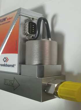 询价Bronkhorst流量计，RUR-EV-G1全新*1，R