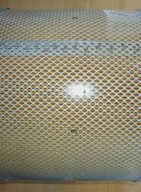 FILTER006820030FF/724?lfilterOilW?RTSIL?WALKI53703