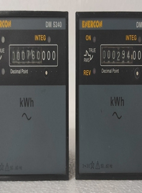 Conzerv/EnerconDM5240TrueRMS能量计