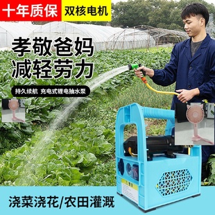 抽水泵浇菜神器抽水机小型电动农用灌溉家用户外自吸浇水机 充电式