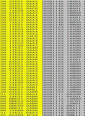 专业6SN6DD6SE706AV6FC询价