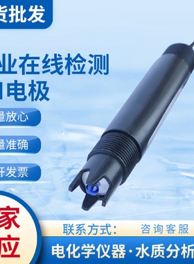 厂家供应工业pH计检测仪控制器电极污水测试酸碱度计探头分析仪