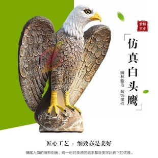 教学道具摄影道具 仿真老鹰 模型 展翅羽毛老鹰道具摆件装 饰
