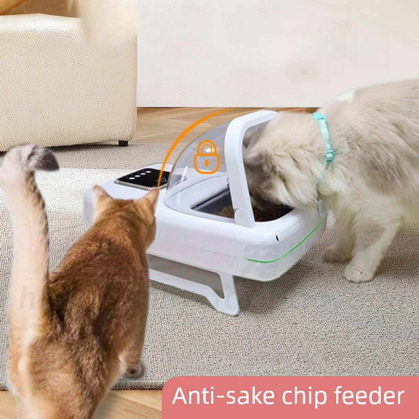 智能芯片识别红外线感应多宠猫咪自动喂食器宠物猫碗定时防偷吃
