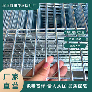 镀锌铁丝网养殖围栏网鸟笼鸽子笼围网格网狗笼底网鸽舍地网防