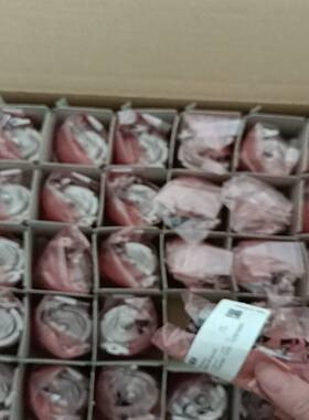 编码器SKM36-HFA0-K02议价销售询价