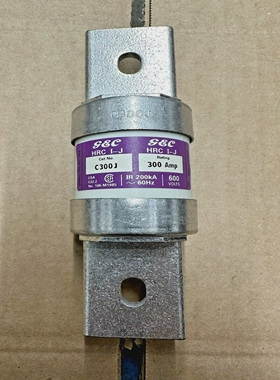 G&CC300J300A600VClassJFuse*NEW*