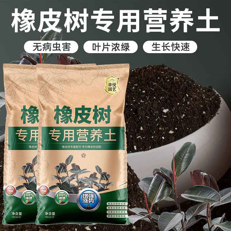 橡皮树专用土花土盆栽黑金刚橡皮树营养土养花通用泥土种植土