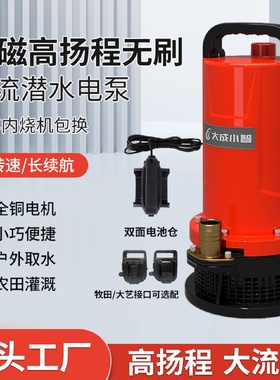 21V24v永磁高扬程直流潜水泵锂电水泵河道花园鱼池农用灌溉抽水机