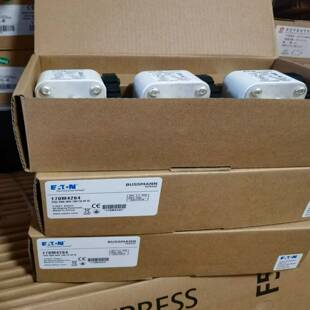 巴斯曼170M2621熔断器