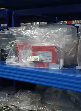 日本HORIBAD219-SCT流量计，氩气Ar，500S--议价商品